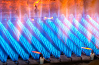 Insch gas fired boilers